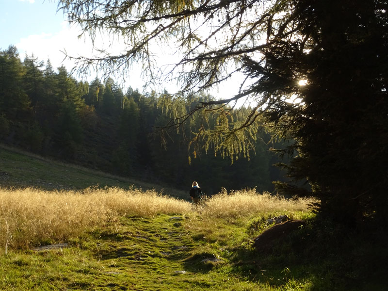 Catena dei Lagorai...da Pergine al Passo del Manghen